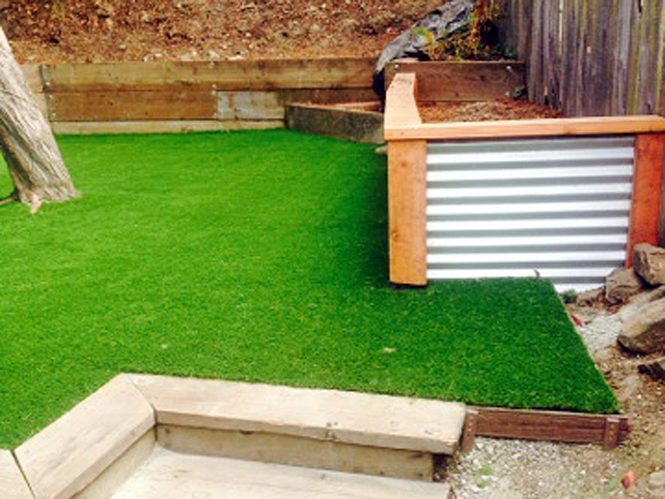 Synthetic Lawn Suncoast Estates Florida Backyard Playground