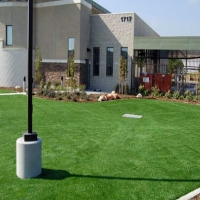 Artificial Grass Carpet Saint James City, Florida Landscape Design, Commercial Landscape