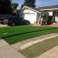 Artificial Grass Installation Orchid, Florida Design Ideas, Landscaping Ideas For Front Yard