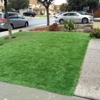 Artificial Grass Inwood, Florida Landscaping, Front Yard Landscaping