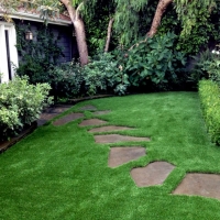 Artificial Grass Jasmine Estates, Florida Landscape Rock, Small Backyard Ideas