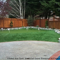 Artificial Grass Mango, Florida Putting Greens, Backyard Designs