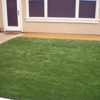 Artificial Grass North Weeki Wachee, Florida Landscaping, Backyard Landscaping