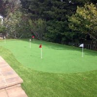 Artificial Grass Taylor Creek, Florida Office Putting Green, Backyard Landscape Ideas