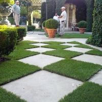 Artificial Grass Winston, Florida Garden Ideas, Pavers