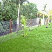 Artificial Lawn Bay Hill, Florida Landscaping Business, Backyard Landscape Ideas