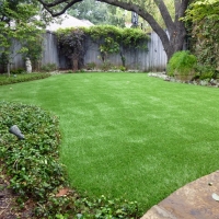 Artificial Lawn South Venice, Florida Landscaping Business, Backyard Ideas