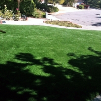 Artificial Turf Carrollwood, Florida Landscape Ideas, Landscaping Ideas For Front Yard