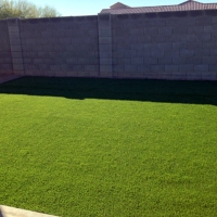 Artificial Turf Cost Ridge Wood Heights, Florida Landscaping, Backyards