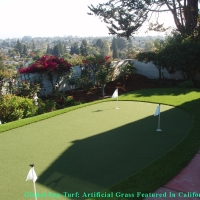 Artificial Turf Cost University, Florida Backyard Putting Green, Backyard