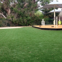 Artificial Turf Cost Winter Springs, Florida Indoor Playground