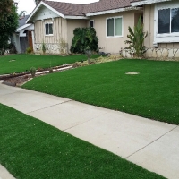 Artificial Turf Harlem Heights, Florida Design Ideas, Small Front Yard Landscaping