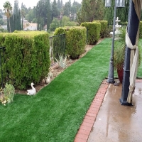 Artificial Turf Installation Citra, Florida Rooftop, Backyards