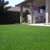 Artificial Turf Lake Buena Vista, Florida Lawns, Front Yard Landscape Ideas