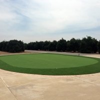 Artificial Turf Lochmoor Waterway Estates, Florida Gardeners, Front Yard