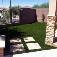 Artificial Turf Sarasota, Florida Garden Ideas, Backyard Ideas