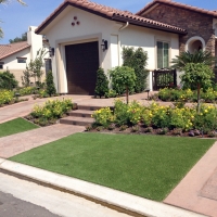 Best Artificial Grass Newberry, Florida Lawns, Landscaping Ideas For Front Yard