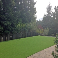 Best Artificial Grass South Patrick Shores, Florida Lawn And Landscape, Backyards