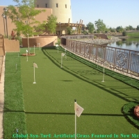 Fake Grass Carpet East Lake-Orient Park, Florida Design Ideas, Backyard Landscaping