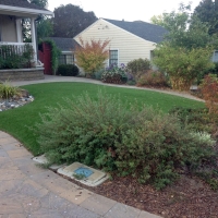 Fake Grass Carpet Highland City, Florida Roof Top, Small Front Yard Landscaping