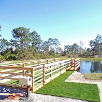 Fake Grass Carpet Paradise Heights, Florida Landscape Ideas, Backyard Ideas