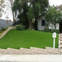 Fake Grass Carpet Raleigh, Florida Landscape Rock, Landscaping Ideas For Front Yard