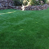 Fake Grass Carpet Wekiwa Springs, Florida Cat Playground, Backyard Ideas