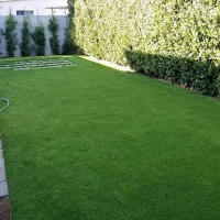 Fake Grass McIntosh, Florida Fake Grass For Dogs, Backyard Designs