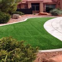 Fake Grass Venice, Florida Landscaping, Front Yard Landscape Ideas