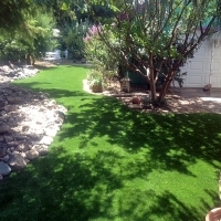 Fake Grass West and East Lealman, Florida Landscape Photos, Backyard Garden Ideas