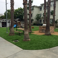 Fake Grass Winston, Florida Landscaping Business, Commercial Landscape