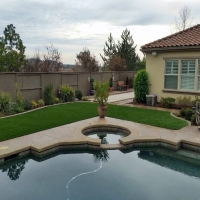 Fake Lawn Groveland, Florida Landscape Design, Swimming Pools