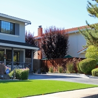 Fake Lawn Samoset, Florida Rooftop, Front Yard Design