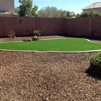 Fake Turf Lake Lindsey, Florida Landscape Rock, Small Backyard Ideas