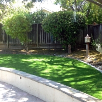 Fake Turf Temple Terrace, Florida Landscape Design, Commercial Landscape