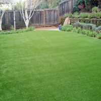 Faux Grass Harbour Heights, Florida Paver Patio, Small Backyard Ideas