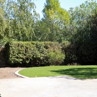 Faux Grass Rockledge, Florida Landscape Design, Backyards