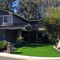 Faux Grass Vamo, Florida Gardeners, Front Yard Ideas