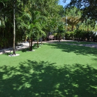 Grass Carpet High Point, Florida Backyard Playground, Commercial Landscape