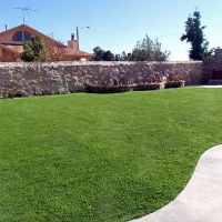 Grass Carpet High Point, Florida Roof Top, Backyard