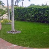 Grass Carpet Homosassa Springs, Florida Backyard Deck Ideas, Front Yard Design