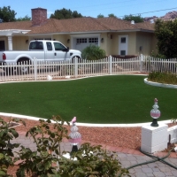 Grass Carpet Polk City, Florida Landscaping Business, Landscaping Ideas For Front Yard