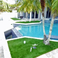 Grass Carpet Utopia, Florida Roof Top, Backyard Landscaping Ideas