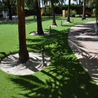 Grass Carpet Wiscon, Florida Landscape Photos, Commercial Landscape