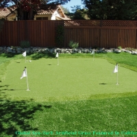 Grass Installation Town n Country, Florida City Landscape, Backyard