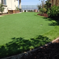 Grass Turf Auburndale, Florida Gardeners, Backyard Landscape Ideas