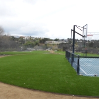 Grass Turf Cheval, Florida High School Sports, Commercial Landscape