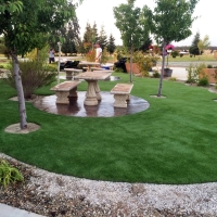 Grass Turf New Port Richey, Florida Lawn And Landscape, Commercial Landscape