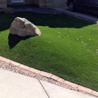 Grass Turf Ponce Inlet, Florida City Landscape