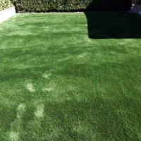 Grass Turf Town n Country, Florida Landscape Design, Backyard Landscape Ideas